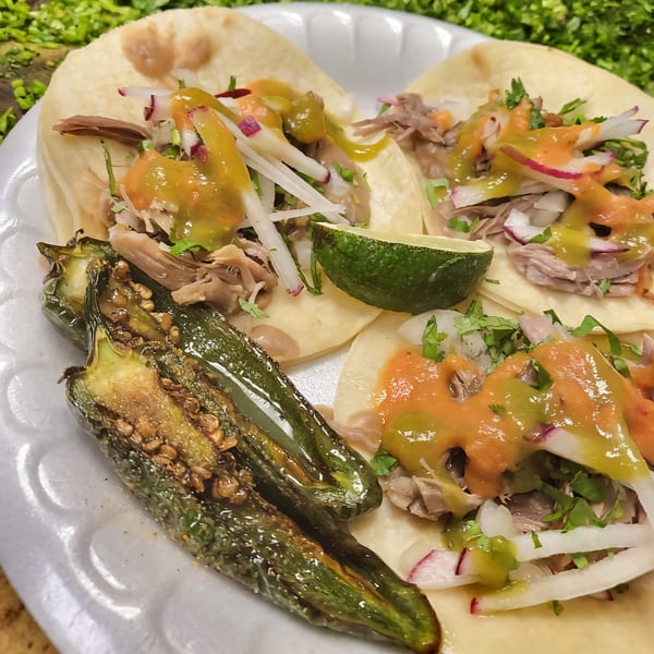 Three Taquiza Street tacos with meat, salsa, radish, cilantro, and a grilled jalapeño on a plate.